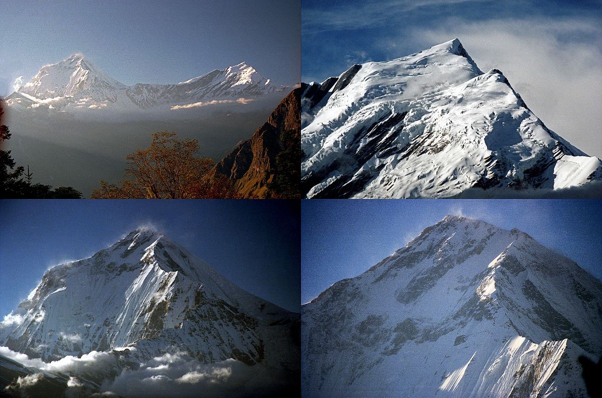 109 Chaulagiri And Tukuche Peak At Sunset From Shepherds Kharka